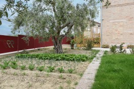 borgo-tiralento
