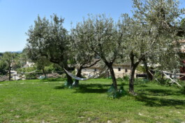 dsc 0428 borgo-tiralento