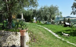 dsc 0601 borgo-tiralento